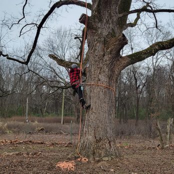 Smith Tree Service - Tree Services Near Me - Morrilton , Arkansas Smith Tree Service - Tree Services Near Me - Morrilton , Arkansas