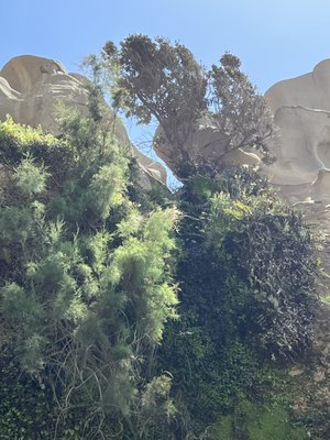 La Jolla Trail by null