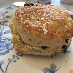 The Old Music Shop - Scone from HEAVEN