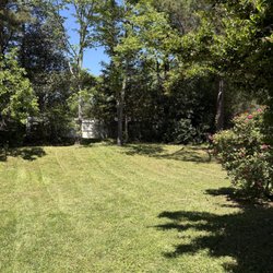 Green Oasis Solutions - Back Yard After