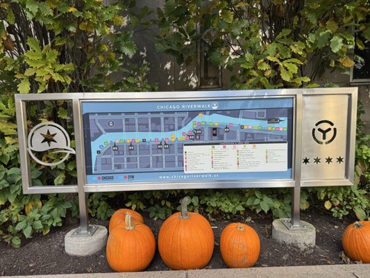 Chicago Riverwalk by null