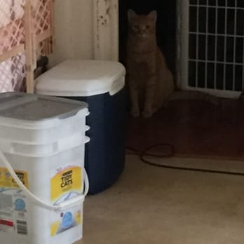 Liz Pet Sitting - Pet Sitting Near Me