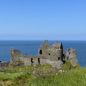 Wild Rover Tours - Tours Near Me - Dublin, D