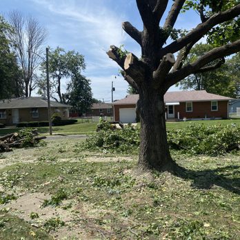 OLI Outdoor Services - Tree Services Near Me OLI Outdoor Services - Tree Services Near Me