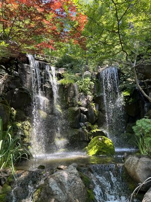 Anderson Japanese Gardens by null