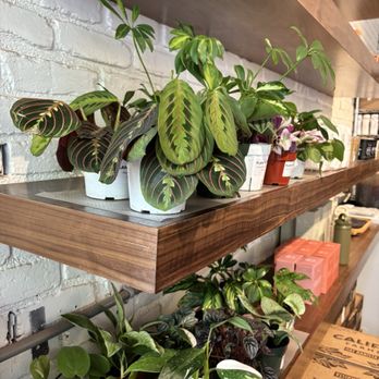 Nook Coffee Bar - Coffee & Tea Near Me - Costa Mesa, California Nook Coffee Bar - Coffee & Tea Near Me - Costa Mesa, California