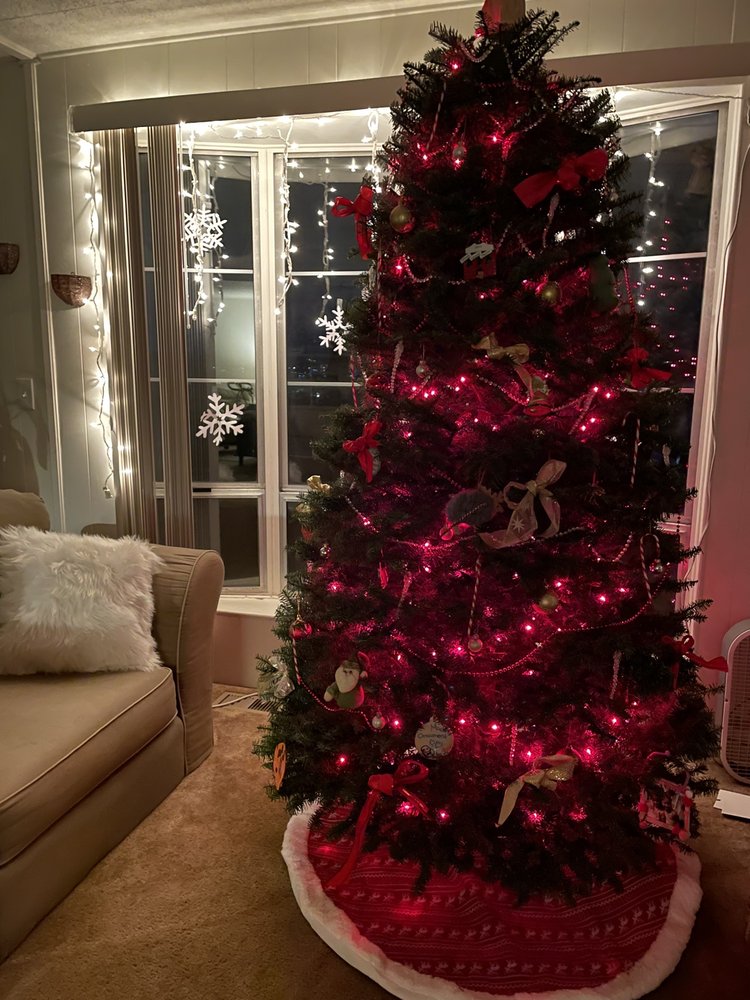 TINA’S CHRISTMAS TREE LOT 25 Reviews 23611 Calabasas Rd, Calabasas, California Christmas