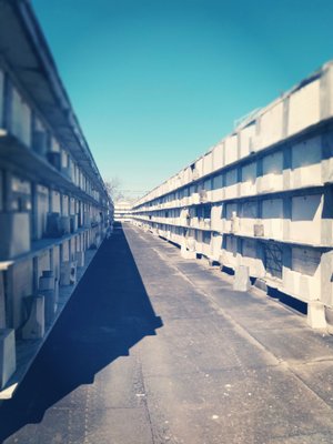 St Vincent De Paul Cemetery by null