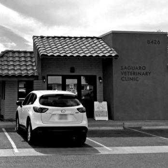 Saguaro Veterinary Clinic - Saguaro Vet - Veterinarians Near Me - Scottsdale, Arizona