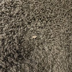 Bend Riverside Rentals - Dirty carpet.