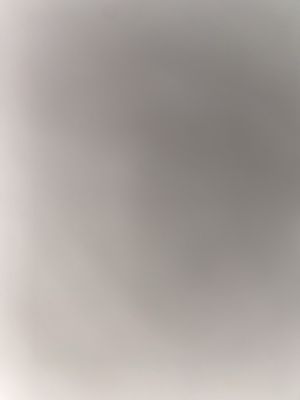 Chief's Steak Shop by null