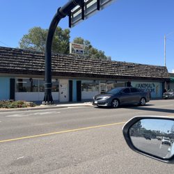 Animal Kingdom - Blames homeless for issues but this owner can't take care of own property and store.
