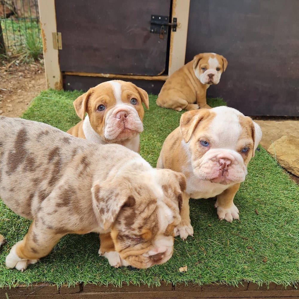 TOP 10 BEST 24 Hour Currency Exchange near Old Enfield, Austin, TX -  Updated 2026 - Yelp