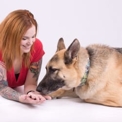 Pin Up Pup Training