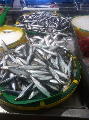 The Palamós Fish Market by null