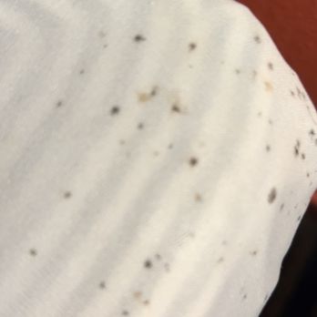 Lambert Inn - Black mold and bed bugs - Hotels Near Me - Whittier, California
