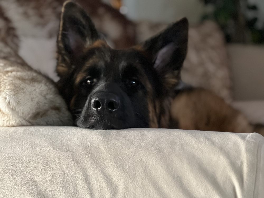 RUSKIN HOUSE OF SHEPHERDS Updated October 2024 36 Photos & 15