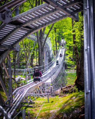 Wilderness Run Alpine Coaster by null