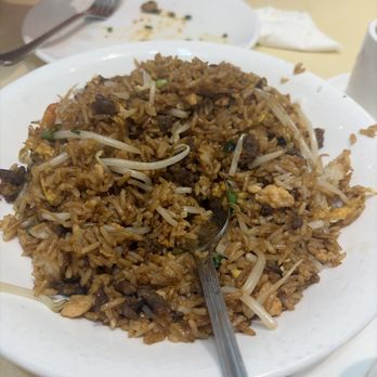 MingHin Cuisine - Fried Rice Noodle and Beef with Soy Sauce (Lunch) - Dim Sum Near Me - Rolling Meadows, Illinois MingHin Cuisine - Fried Rice Noodle and Beef with Soy Sauce (Lunch) - Dim Sum Near Me - Rolling Meadows, Illinois