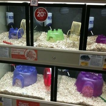 PetSmart - Pet Training Near Me - Savannah, Georgia