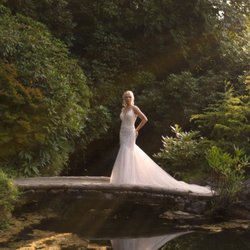 Elite Dress Bridal
