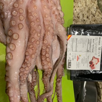 Dry Dock Fish Co - Raw Spanish octopus - Seafood Markets Near Me - Fullerton, California Dry Dock Fish Co - Raw Spanish octopus - Seafood Markets Near Me - Fullerton, California