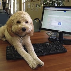 Sports and Imports by null