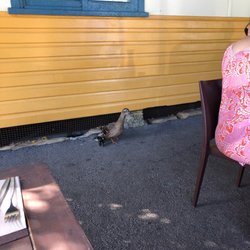Hardy's Bistro - New Friends!