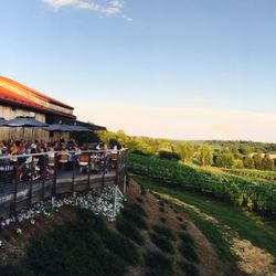 Grandview Vineyard