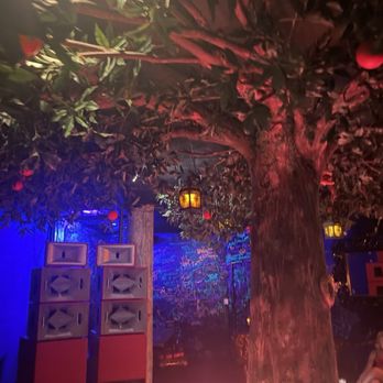 Wild Orange - Yes, this bar has everything, including a vintage sound system and a big fake tree. - Cocktail Bars Near Me - Honolulu, Hawaii Wild Orange - Yes, this bar has everything, including a vintage sound system and a big fake tree. - Cocktail Bars Near Me - Honolulu, Hawaii