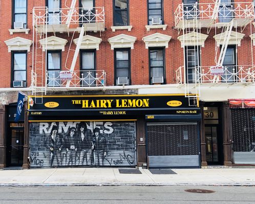 The Hairy Lemon by null