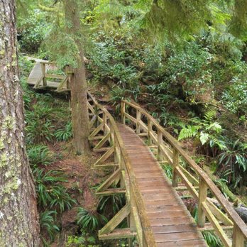 Schooner Cove Trail - Parks Near Me - Tofino, British Columbia Schooner Cove Trail - Parks Near Me - Tofino, British Columbia