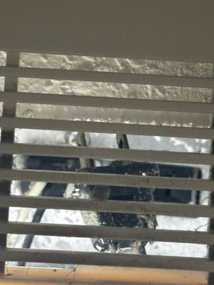 Kelleys Island Venture Resort by null