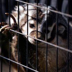 user provided Monterey Zoo photo