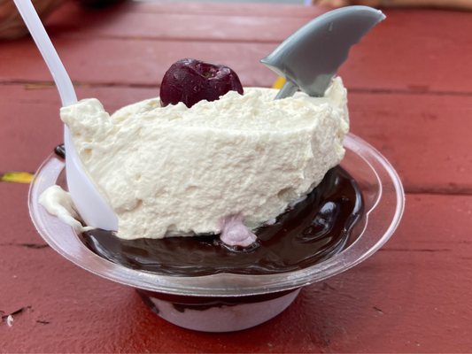 Sundae School by null