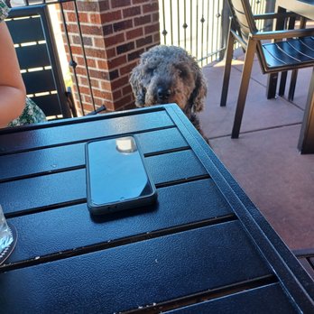 Great Dane Pub & Brewing - Bella!! - American Near Me - Madison, Wisconsin