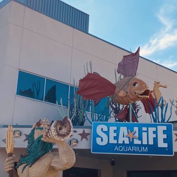 Sea Life Aquarium - Aquariums Near Me - Carlsbad, California Sea Life Aquarium - Aquariums Near Me - Carlsbad, California