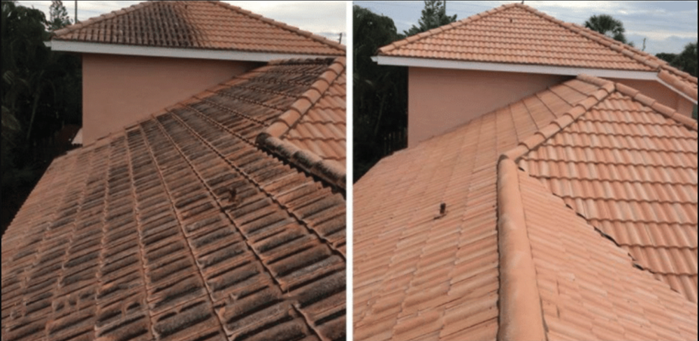 Slide of Clear Peak Roof Cleaning