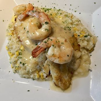 Trattoria Valona - Grouper with shrimp special - Italian Near Me - Hatboro, Pennsylvania Trattoria Valona - Grouper with shrimp special - Italian Near Me - Hatboro, Pennsylvania