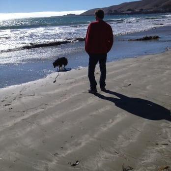 Cayucos Motel - Enjoying a nice walk with little yazzie our toy Aussie - Hotels Near Me - Cayucos, California