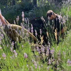 King’s Pumping Service