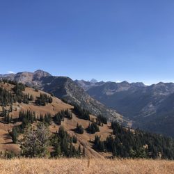 Leigh Creek Outfitters