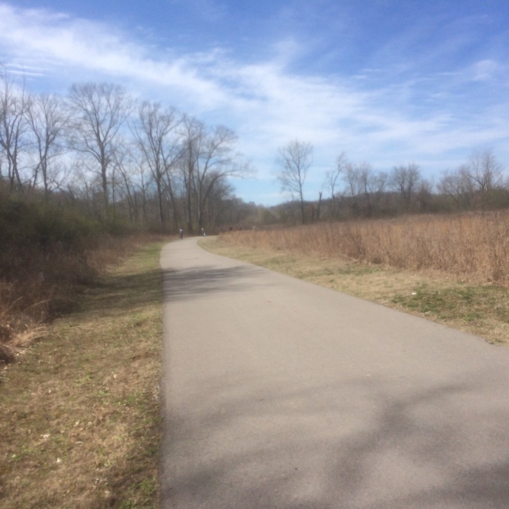 Mill Creek Park - Nice park that I never been to before. Dogs love it! - Parks Near Me - Antioch, Tennessee