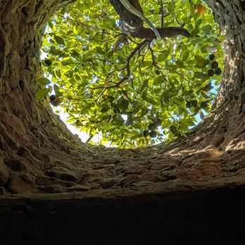 Forestiere Underground Gardens - Botanical Gardens Near Me - Fresno, California