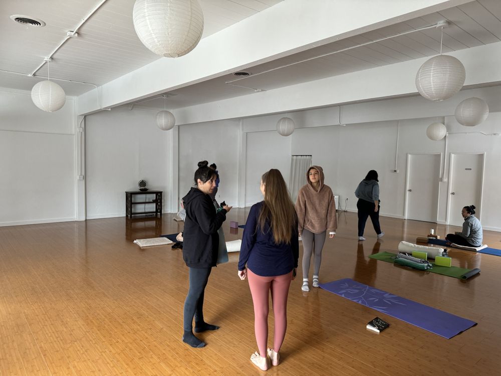 Bloom Yoga Logo
