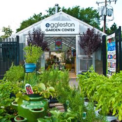 Eggleston Garden Center - Eggleston Garden Center