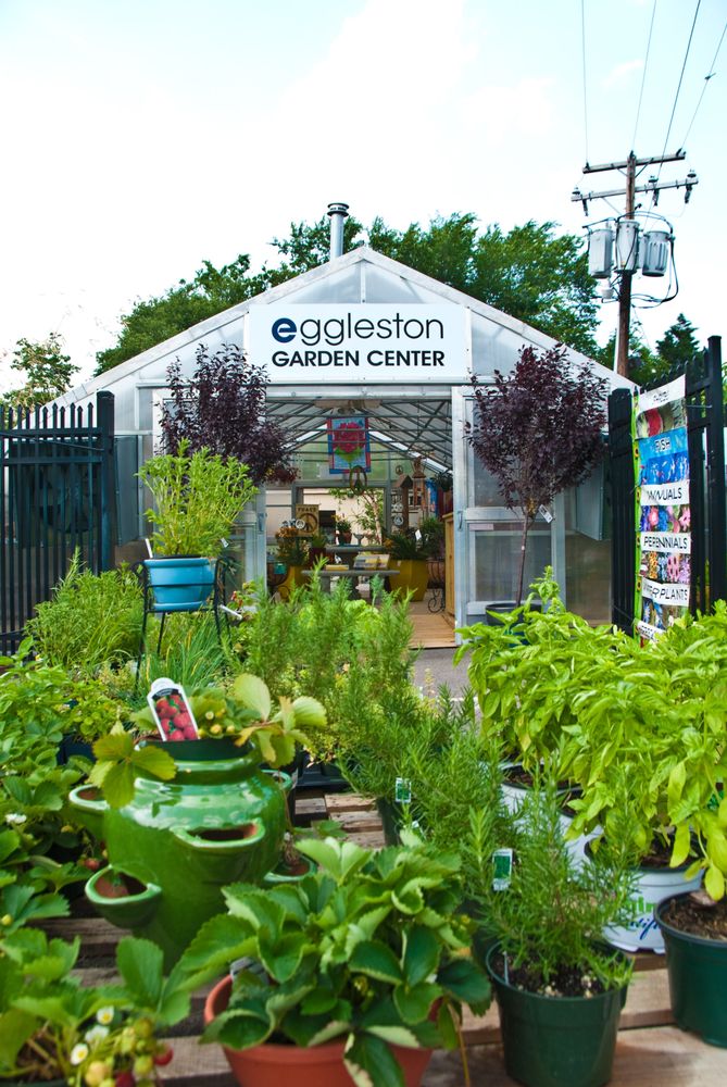 EGGLESTON GARDEN CENTER Updated September 2024 110 La Valette Ave