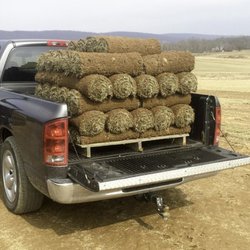 Southern Accent Sod - Sod pick up