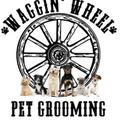 Waggin' Wheel Pet Grooming - Newly established dog groomer here in Mineral Wells, call 940-654-6243 to make an appointment.