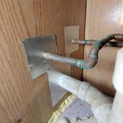 Master Mice Proofing